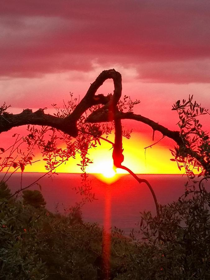 Florinda Lemon'S Suite Cervo Exteriér fotografie