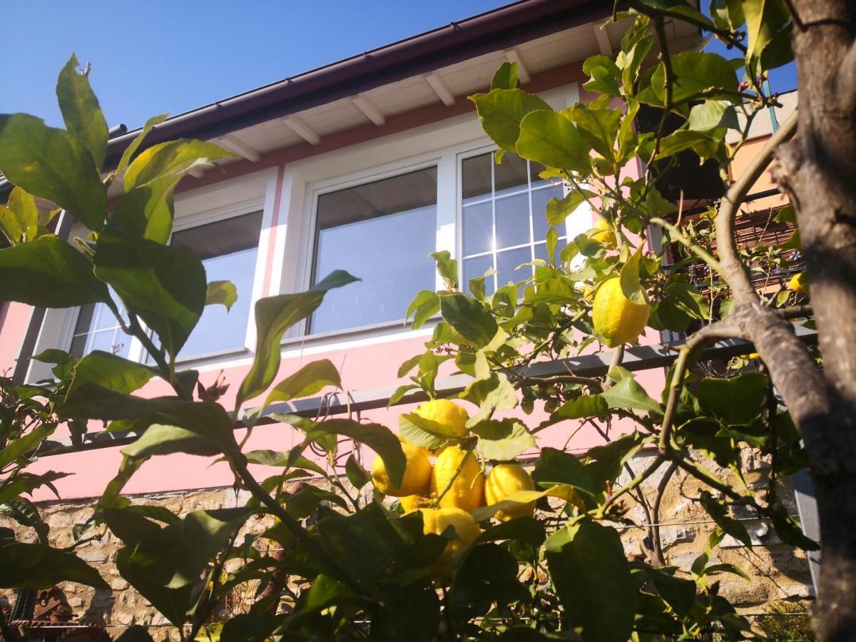 Florinda Lemon'S Suite Cervo Exteriér fotografie