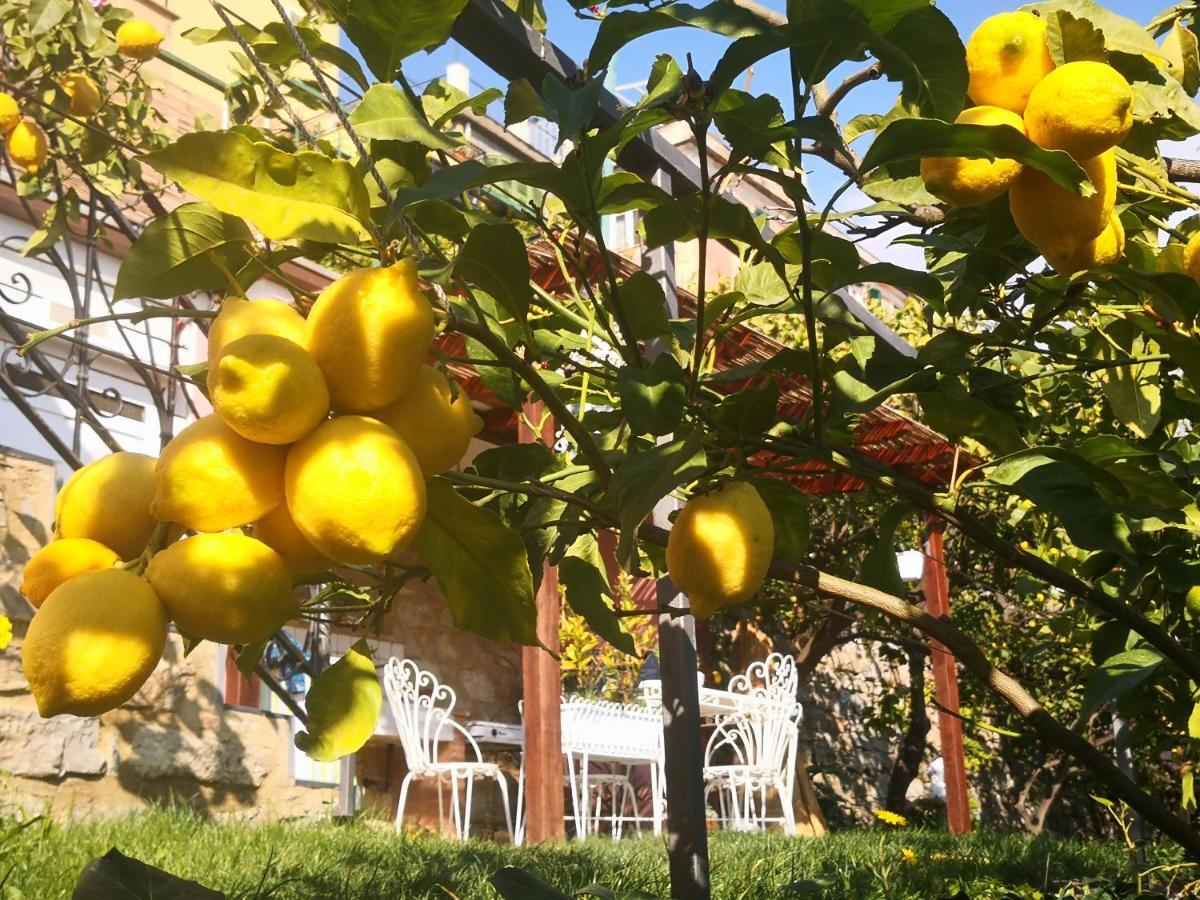 Florinda Lemon'S Suite Cervo Exteriér fotografie