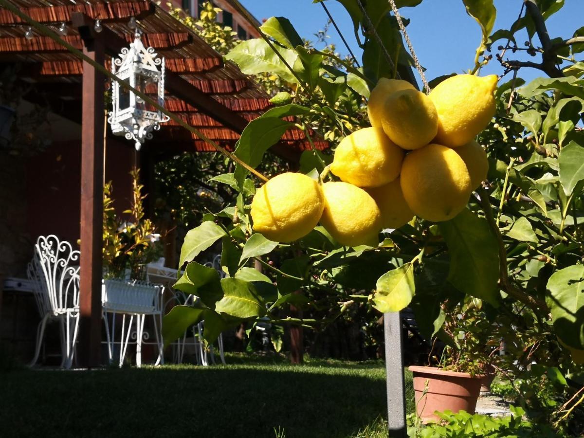 Florinda Lemon'S Suite Cervo Exteriér fotografie