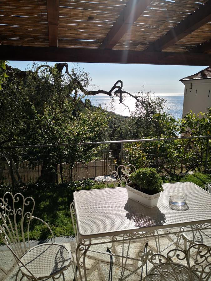 Florinda Lemon'S Suite Cervo Exteriér fotografie