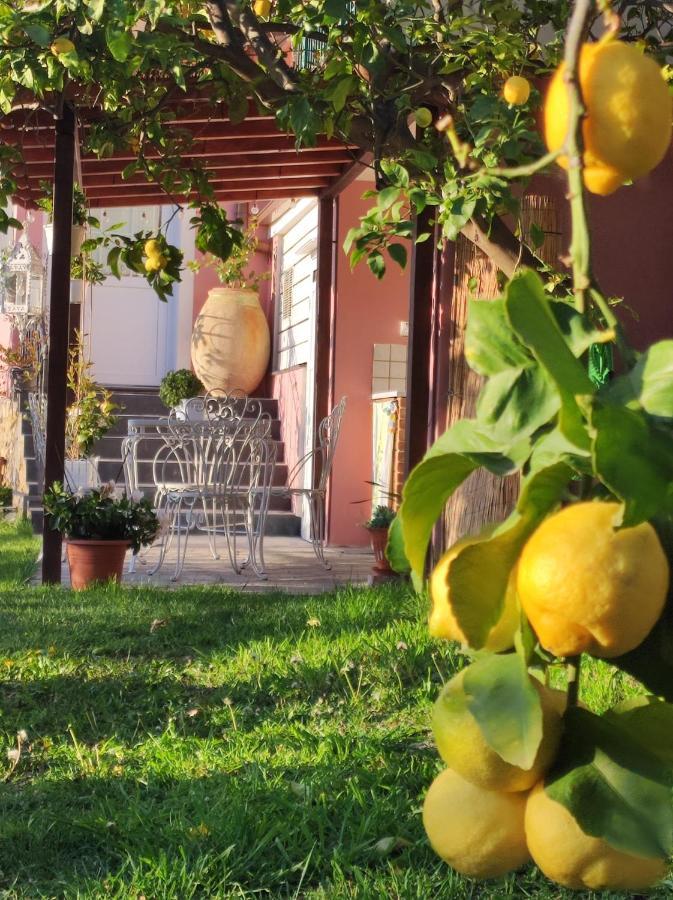 Florinda Lemon'S Suite Cervo Exteriér fotografie