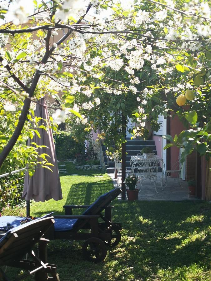 Florinda Lemon'S Suite Cervo Exteriér fotografie