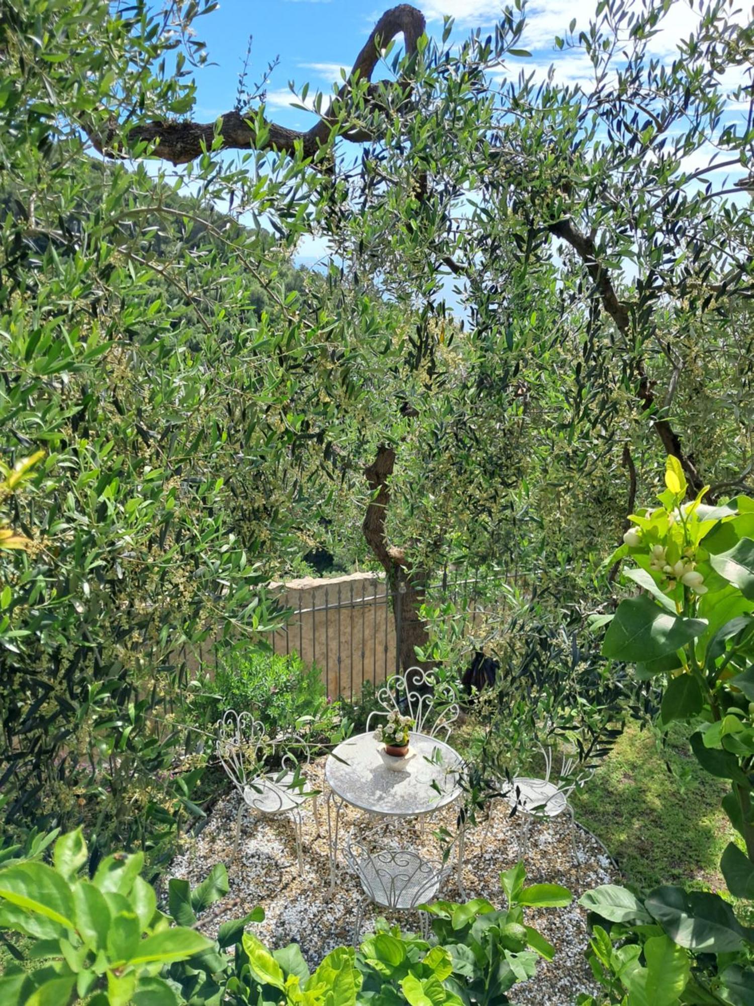 Florinda Lemon'S Suite Cervo Exteriér fotografie