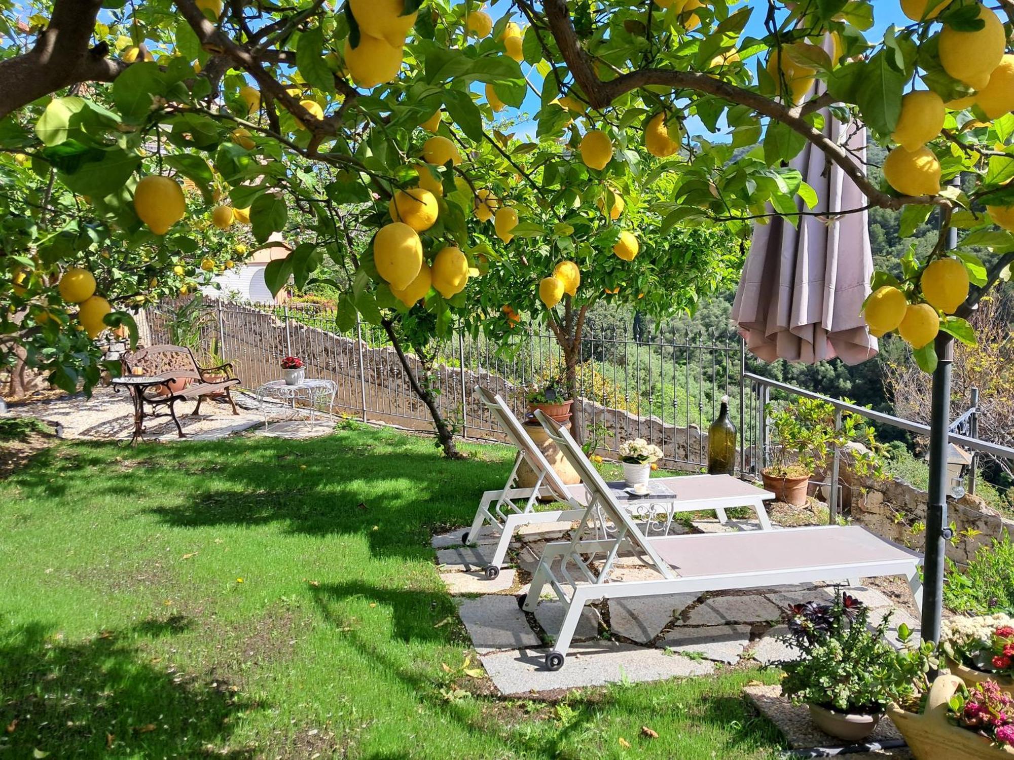 Florinda Lemon'S Suite Cervo Exteriér fotografie